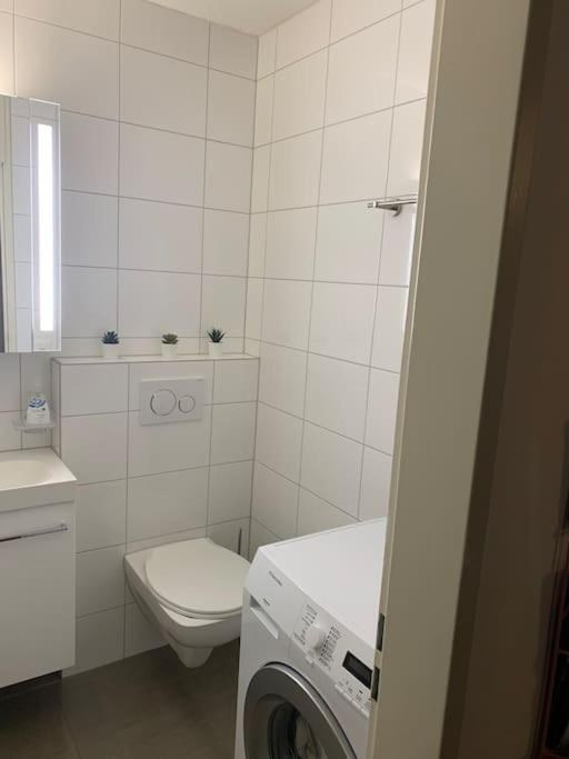 Ferienwohnung Little Penthouse **** Dietikon Exterior foto